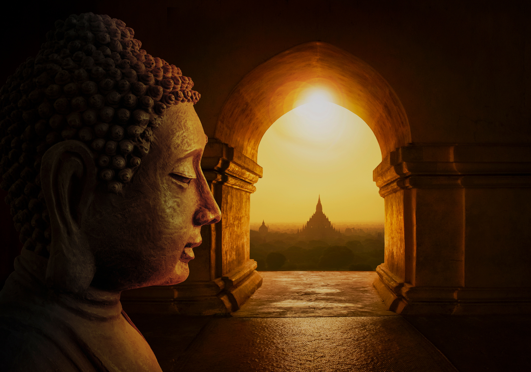 Head Buddha meditation